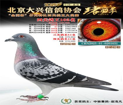 ǧԪ�ر��Ĺظ���102��