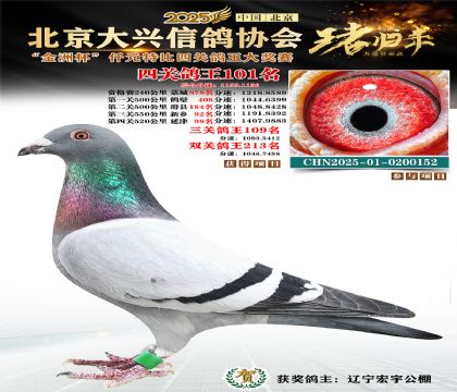 ǧԪ�ر��Ĺظ���101��