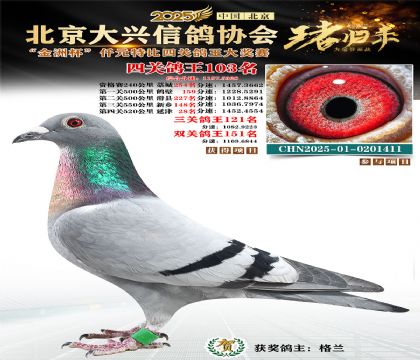 ǧԪ�ر��Ĺظ���103��