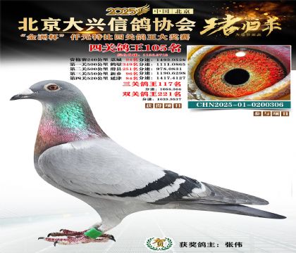 ǧԪ�ر��Ĺظ���105��