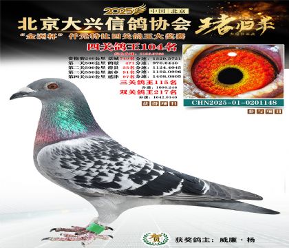 ǧԪ�ر��Ĺظ���104��