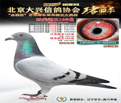 ǧԪ�ر��Ĺظ���106��