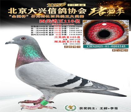 ǧԪ�ر��Ĺظ���110��