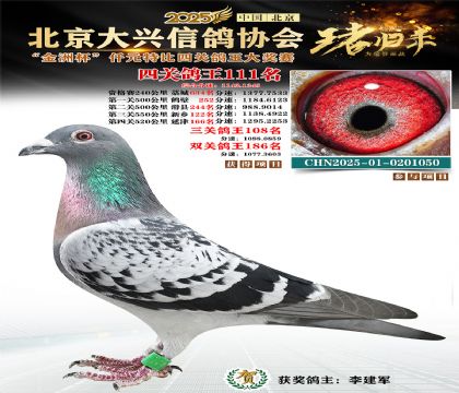 ǧԪ�ر��Ĺظ���111��