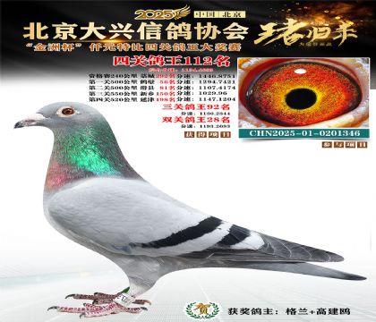 ǧԪ�ر��Ĺظ���112��