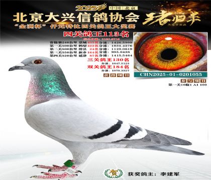 ǧԪ�ر��Ĺظ���113��