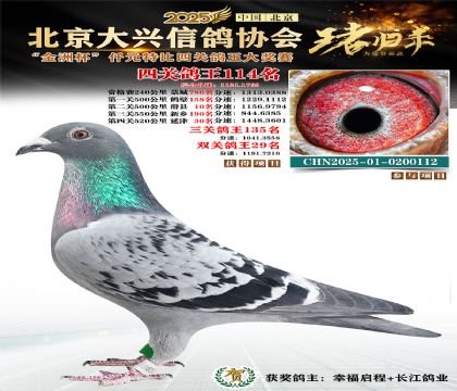 ǧԪ�ر��Ĺظ���114��