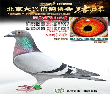 ǧԪ�ر��Ĺظ���115��