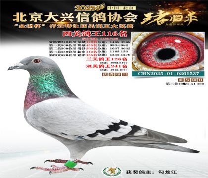 ǧԪ�ر��Ĺظ���116��