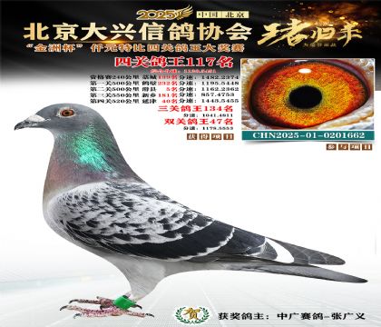 ǧԪ�ر��Ĺظ���117��