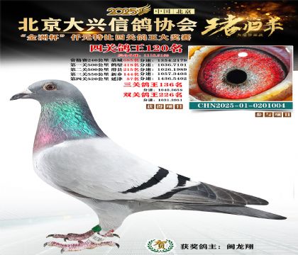 ǧԪ�ر��Ĺظ���120��