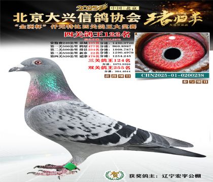 ǧԪ�ر��Ĺظ���122��