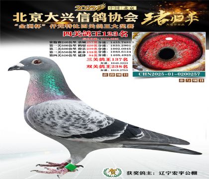 ǧԪ�ر��Ĺظ���123��