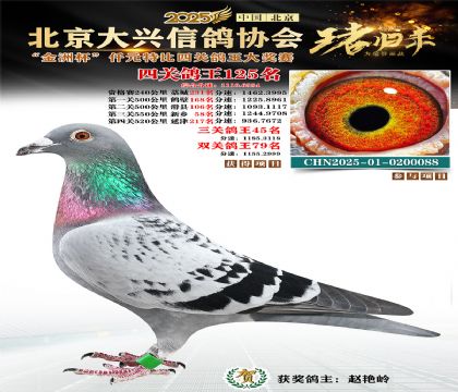 ǧԪ�ر��Ĺظ���125��