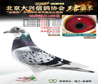 ǧԪ�ر��Ĺظ���126��