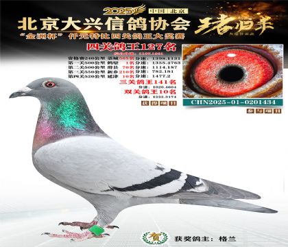 ǧԪ�ر��Ĺظ���127��