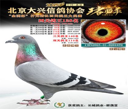 ǧԪ�ر��Ĺظ���128��