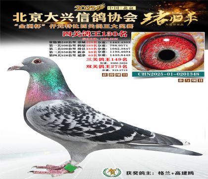 ǧԪ�ر��Ĺظ���130��