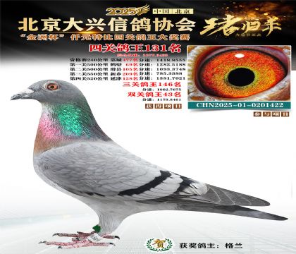 ǧԪ�ر��Ĺظ���131��