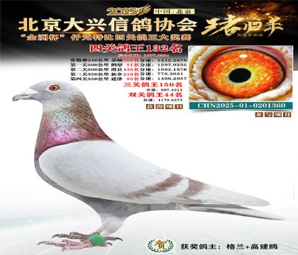 ǧԪ�ر��Ĺظ���132��