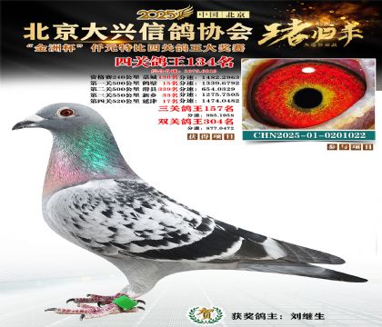 ǧԪ�ر��Ĺظ���134��