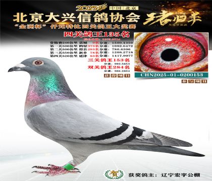 ǧԪ�ر��Ĺظ���135��