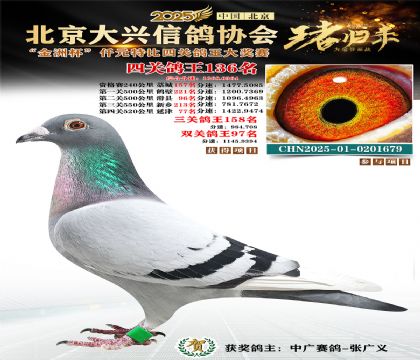 ǧԪ�ر��Ĺظ���136��