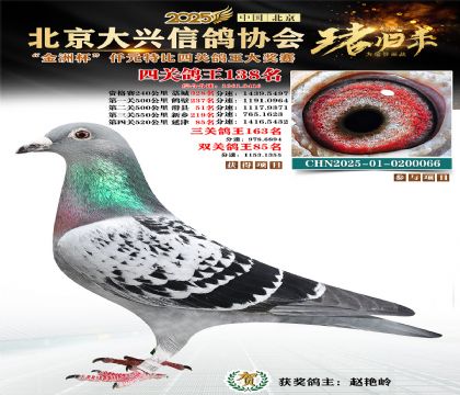 ǧԪ�ر��Ĺظ���138��