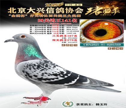 ǧԪ�ر��Ĺظ���141��