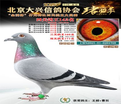 ǧԪ�ر��Ĺظ���142��