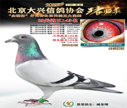 ǧԪ�ر��Ĺظ���143��