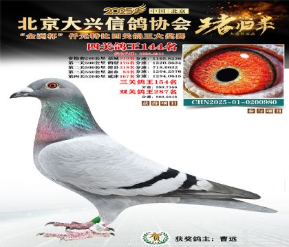 ǧԪ�ر��Ĺظ���144��