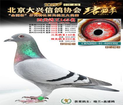 ǧԪ�ر��Ĺظ���145��