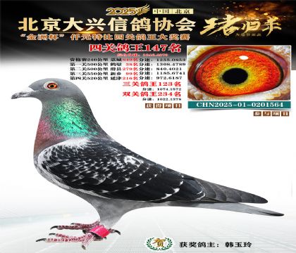 ǧԪ�ر��Ĺظ���147��