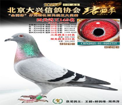 ǧԪ�ر��Ĺظ���149��