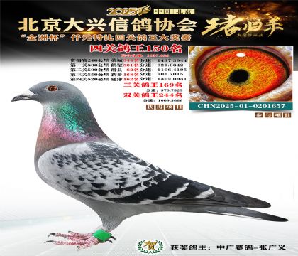 ǧԪ�ر��Ĺظ���150��