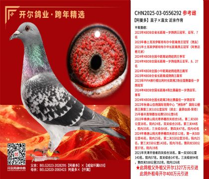 ������ֱ�ӡ�ֱŮ ��������