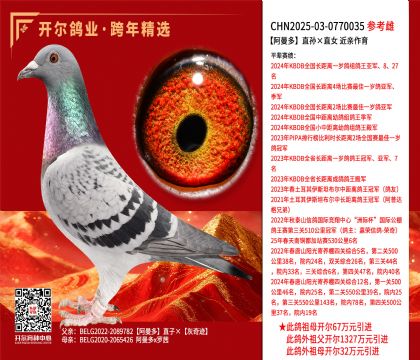 ������ֱ���ֱŮ ��������