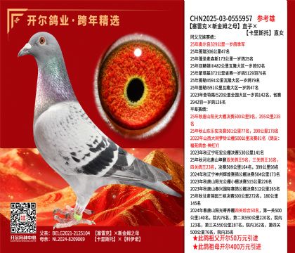 �����׿ˡ��½�ķ֮ĸ��ֱ�ӡ�����˹��ֱŮ