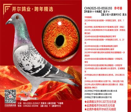 �����������÷¡��ֱ�ӡ�����ʿ��������ʱ�֡�ֱŮ