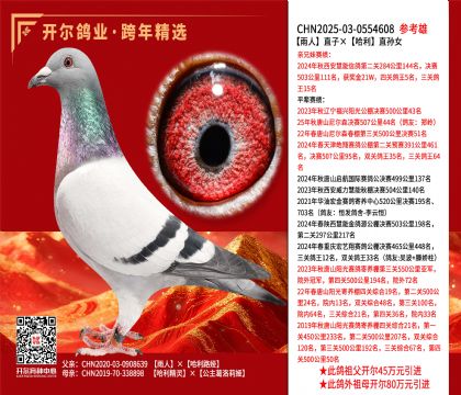 ����ֱ�ӡ�����ֱ��Ů