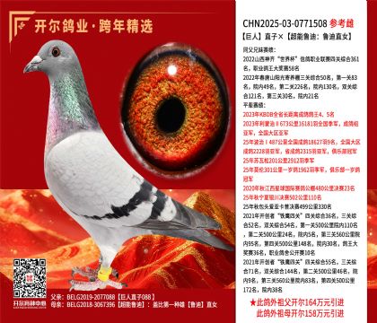 ����ֱ�ӡ�����³�ϣ�³��ֱŮ��