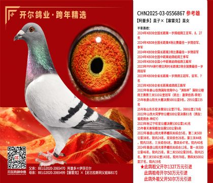 ������ֱ�ӡ����׿�ֱŮ