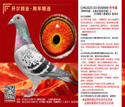 �����ɭ�����������ֵܡ��������ǡ���ŵ����ֱ��Ů