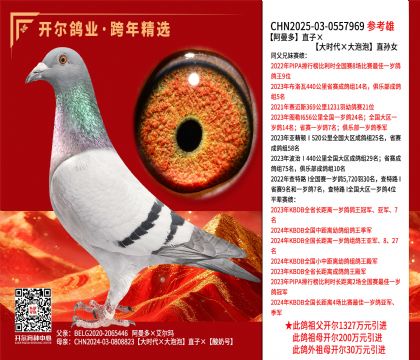 ������ֱ�ӡ�����ʱ���������ݡ�ֱ��Ů