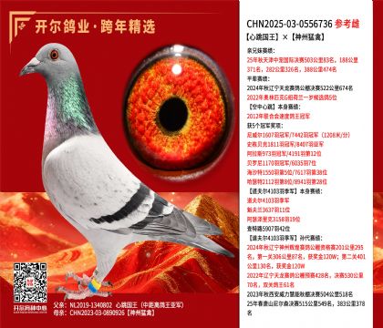 ������������������