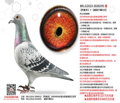 1����23-2028295