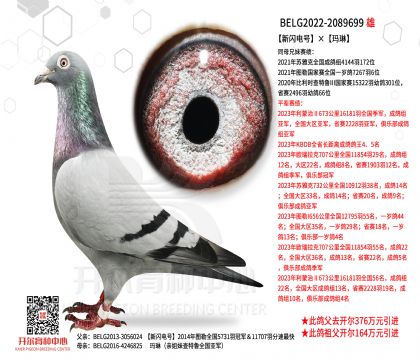 1����22-2089699