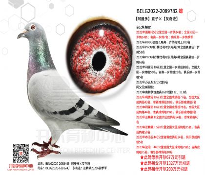 1����22-2089782