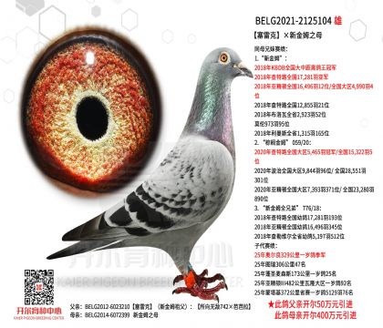 1����21-2125104